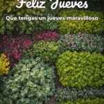 feliz jueves que tengas un jueves maravilloso