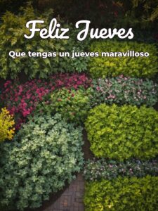 Imágenes de buen jueves para celular descargar