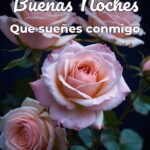 buenas noches que sueñes conmigo