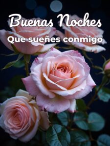 Imágenes de buenas noches amor gratis para Facebook