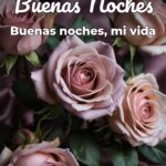 buenas noches buenas noches, mi vida