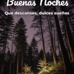 buenas noches que descanses, dulces sueños