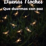 buenas noches que duermas con paz