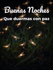 Imágenes de buenas noches con frases bonitas para celular