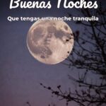 buenas noches que tengas una noche tranquila