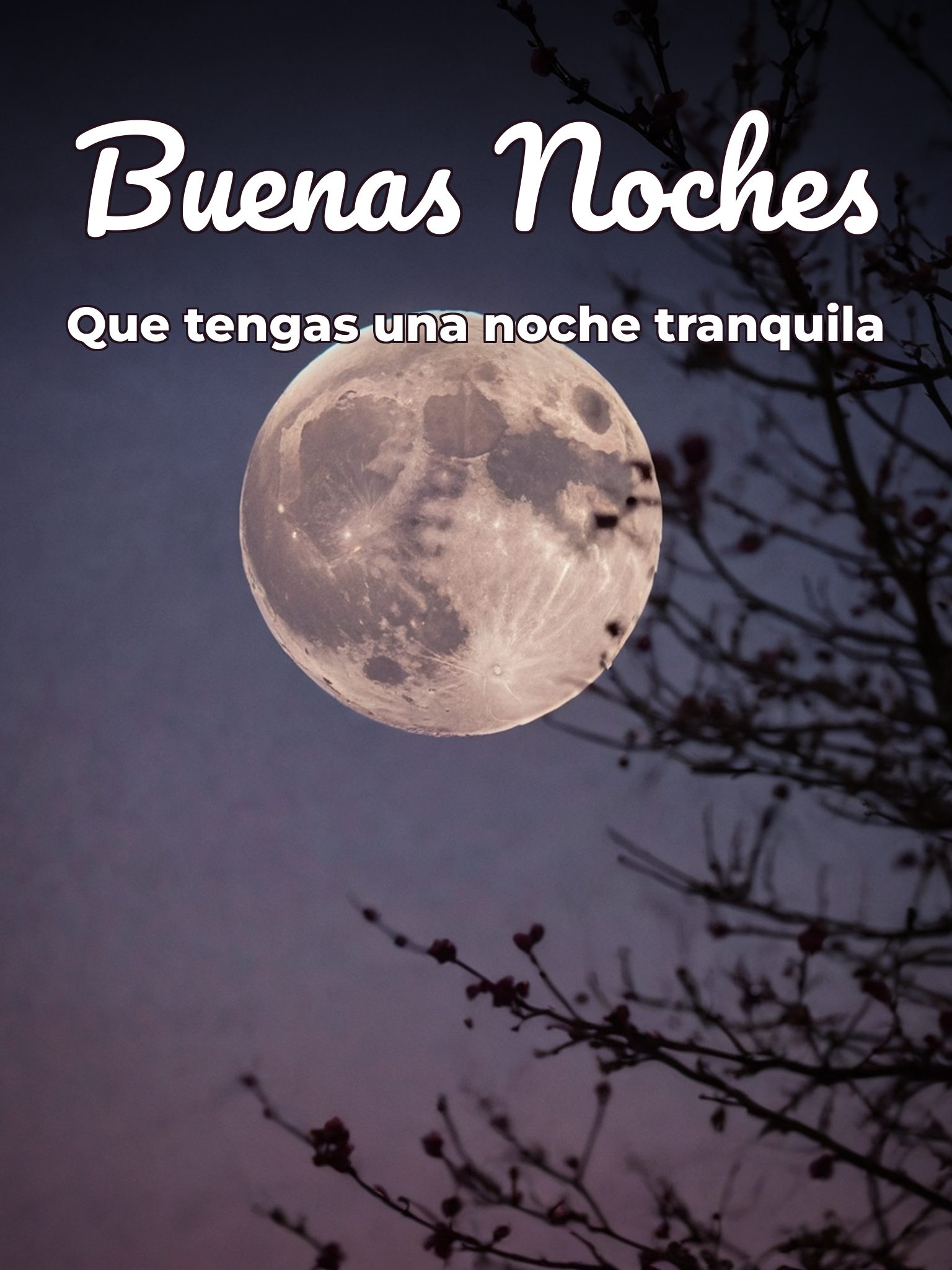 Imágenes de buenas noches con frases bonitas para WhatsApp