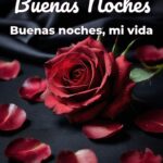 buenas noches buenas noches, mi vida