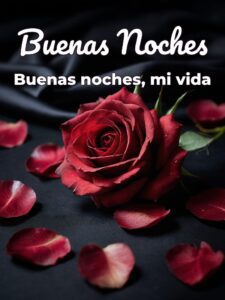 Imágenes de buenas noches con frases de amor para WhatsApp