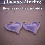 buenas noches buenas noches, mi vida