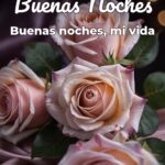 buenas noches buenas noches, mi vida