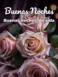 Imágenes de buenas noches para mi amor para Facebook