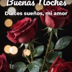 buenas noches dulces sueños, mi amor