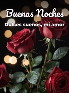 Imágenes de buenas noches para un amor