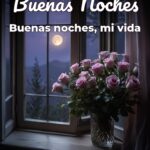 buenas noches buenas noches, mi vida