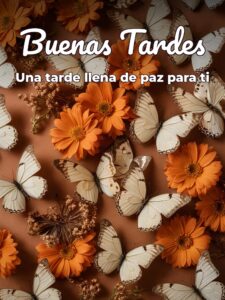 Imágenes de buenas tardes chistosas para WhatsApp celular
