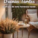 buenas tardes disfruta de esta hermosa tarde