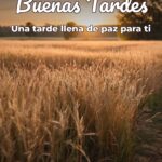 buenas tardes una tarde llena de paz para ti