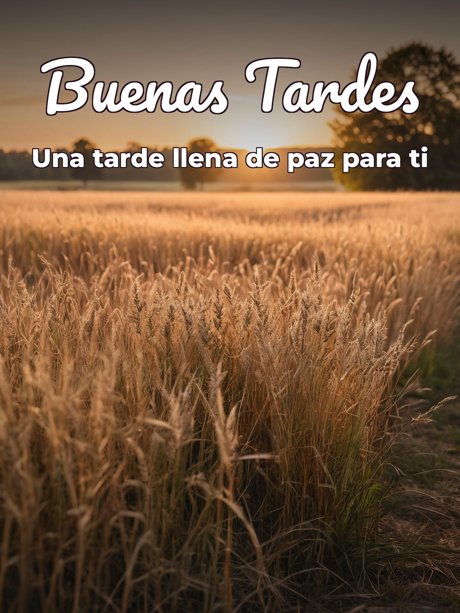 Imágenes de buenas tardes con flores para WhatsApp celular