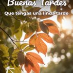 buenas tardes que tengas una linda tarde