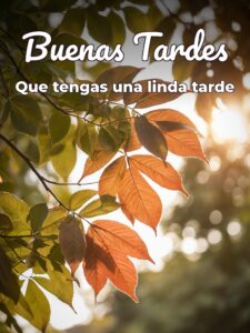 Imágenes de buenas tardes gratis para WhatsApp celular