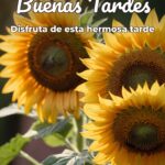 buenas tardes disfruta de esta hermosa tarde