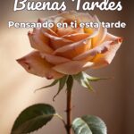 buenas tardes pensando en ti esta tarde