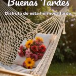 buenas tardes disfruta de esta hermosa tarde