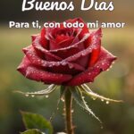 buenos días para ti, con todo mi amor