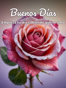 Imágenes de buenos días amor con frases para celular