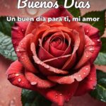 buenos días un buen día para ti, mi amor