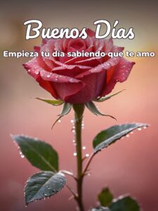 Imágenes de buenos días cariñosas para mi amor