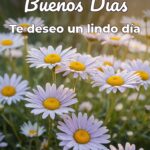 buenos días te deseo un lindo día