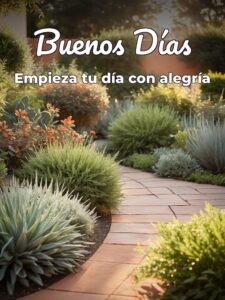 Imágenes de buenos días con mensaje para descargar