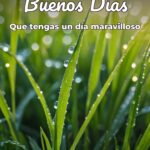 buenos días que tengas un día maravilloso