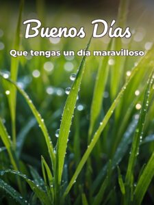 Imágenes de buenos días con mensaje para una amiga