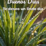 buenos días te deseo un lindo día