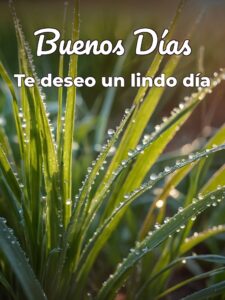 Imágenes de buenos días con mensaje para WhatsApp