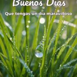 buenos días que tengas un día maravilloso