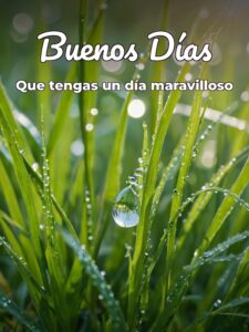 Imágenes de buenos días con mensajes bonitos para celular