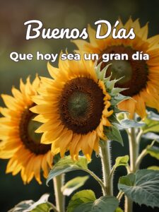 Imágenes de buenos días con mensajes bonitos para descargar