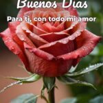 buenos días para ti, con todo mi amor