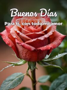 Imágenes de buenos días con mensajes de amor para mi amor