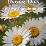 buenos días te deseo un lindo día