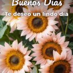 buenos días te deseo un lindo día