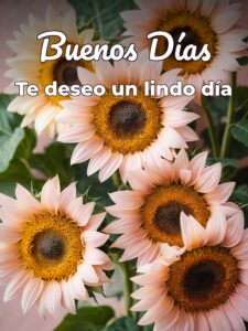 Imágenes de buenos días corazón