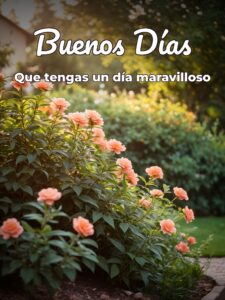 Imágenes de buenos días de amistad para celular