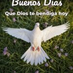buenos días que dios te bendiga hoy