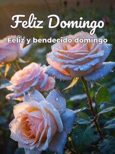 Imágenes de buenos días de domingo para celular