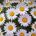 buenos días empieza tu día con alegría