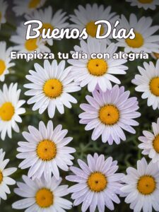 imágenes de buenos días de mujeres para Facebook
